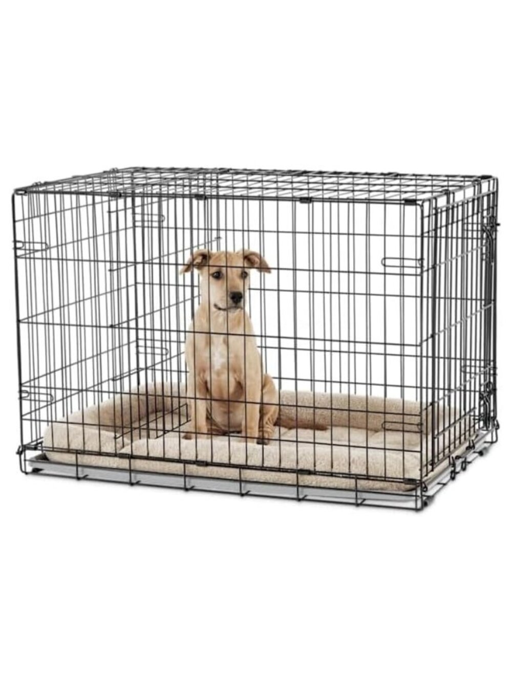 EveryYay by Petco 1-Door Dog Crate Small Black: No Handles